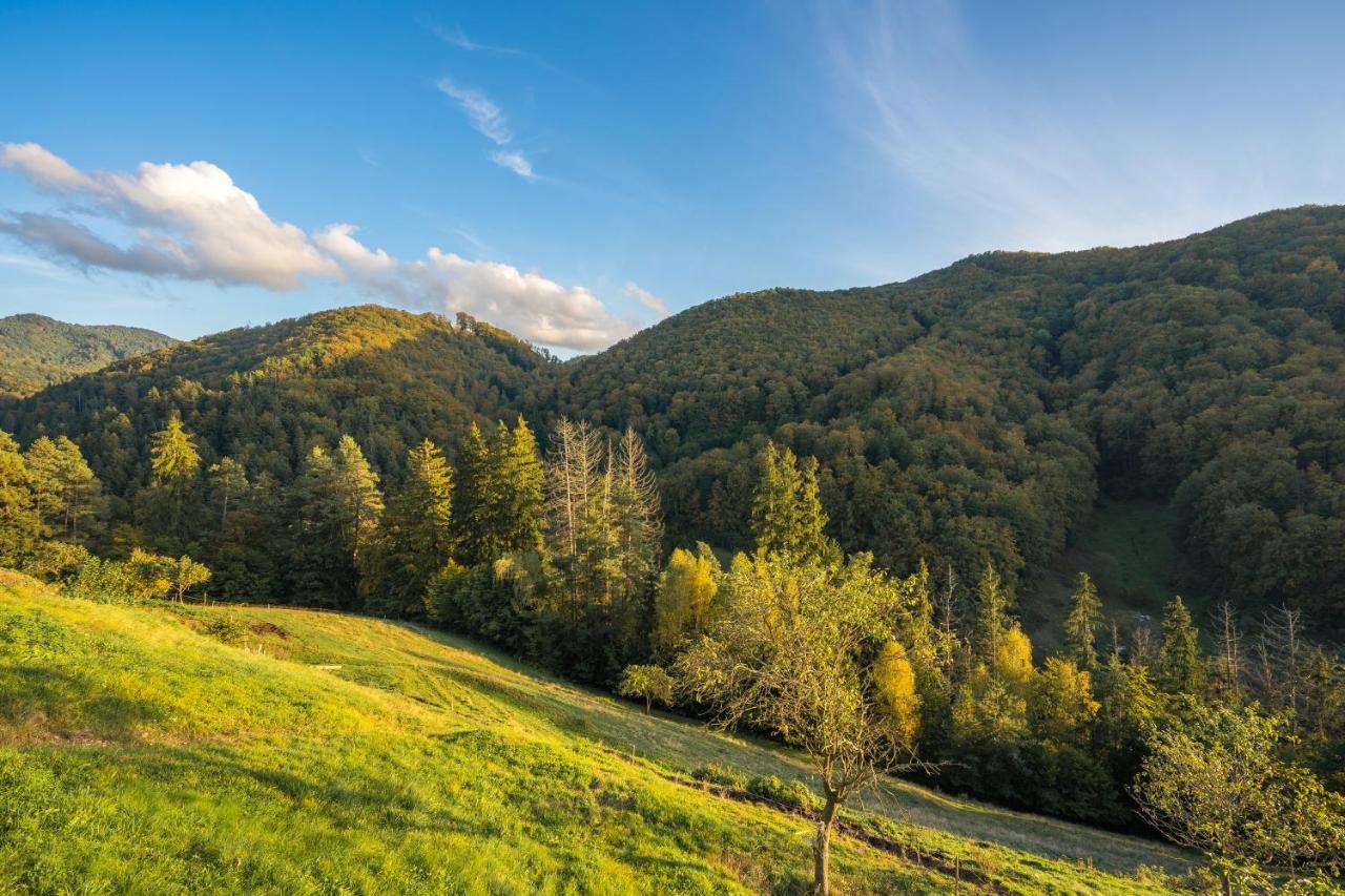 Ubytovanie Pod Gastanom Hodrusa Bagian luar foto